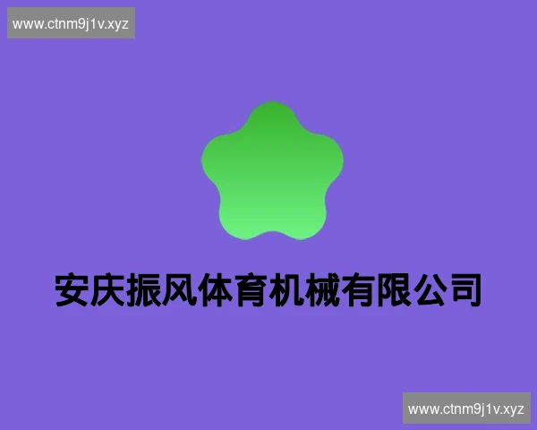 安庆振风体育机械有限公司