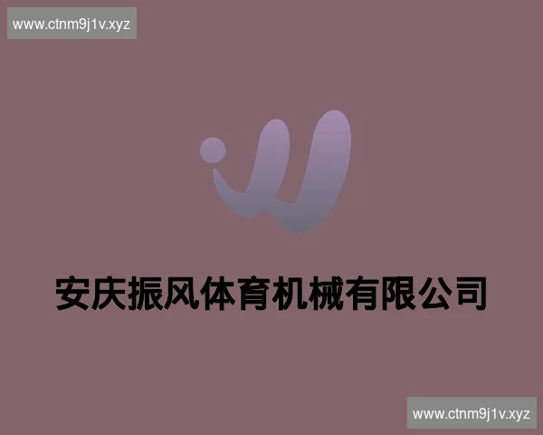 安庆振风体育机械有限公司